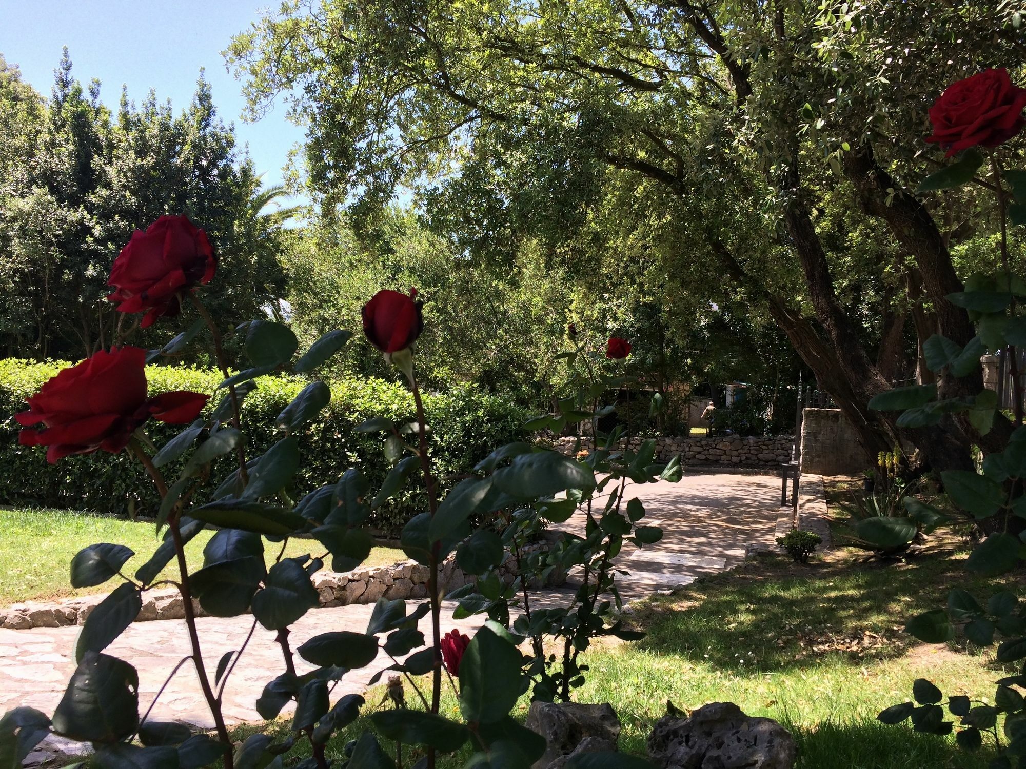 ארנוארו Hotel Posada La Robleda (Adults Only) מראה חיצוני תמונה